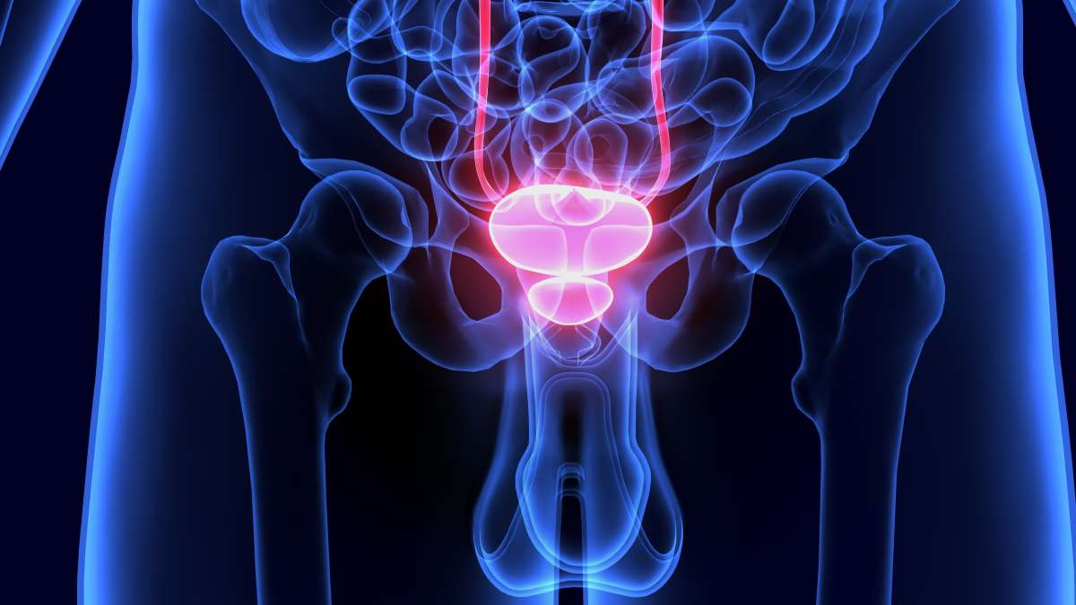 prostata-stimulieren